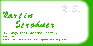 martin strohner business card
